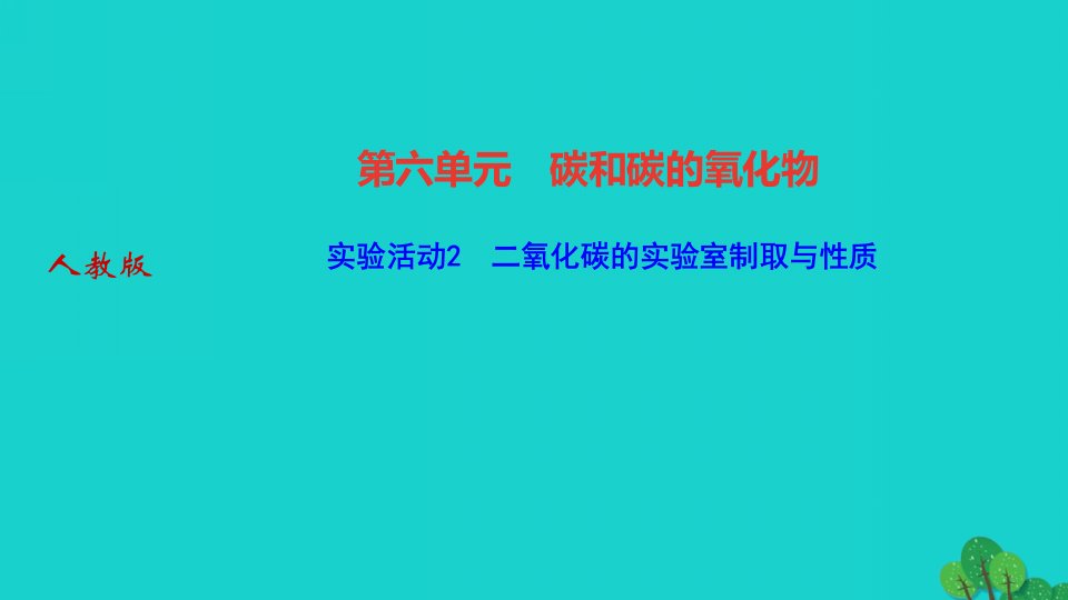 2024九年级化学上册第六单元碳和碳的氧化物实验活动2二氧化碳的实验室制取与性质作业课件新版新人教版