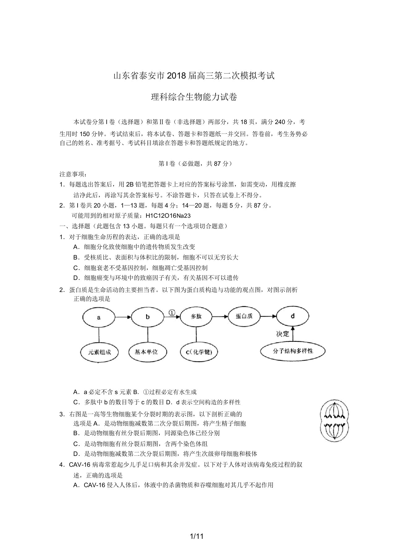 山东泰安市届高三生物第二次模拟考试试题