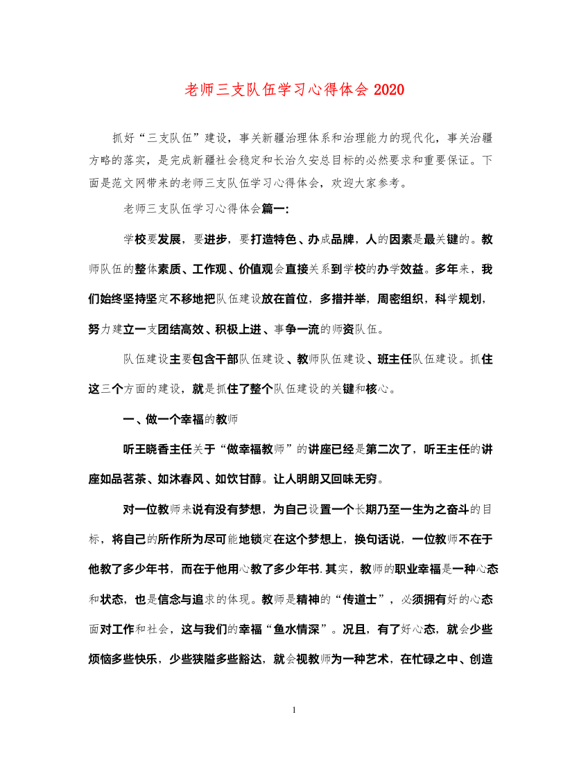 精编老师三支队伍学习心得体会