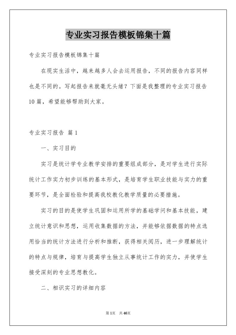 专业实习报告模板锦集十篇例文