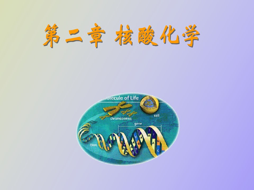 生物化学第二章核酸化学