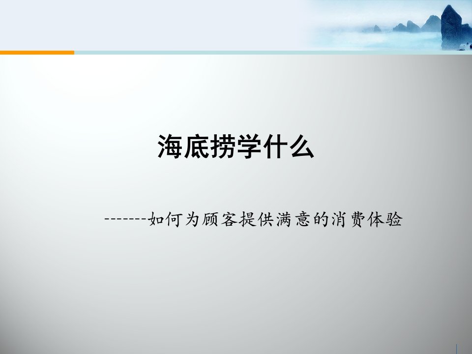 海底捞-企业成功案例分析