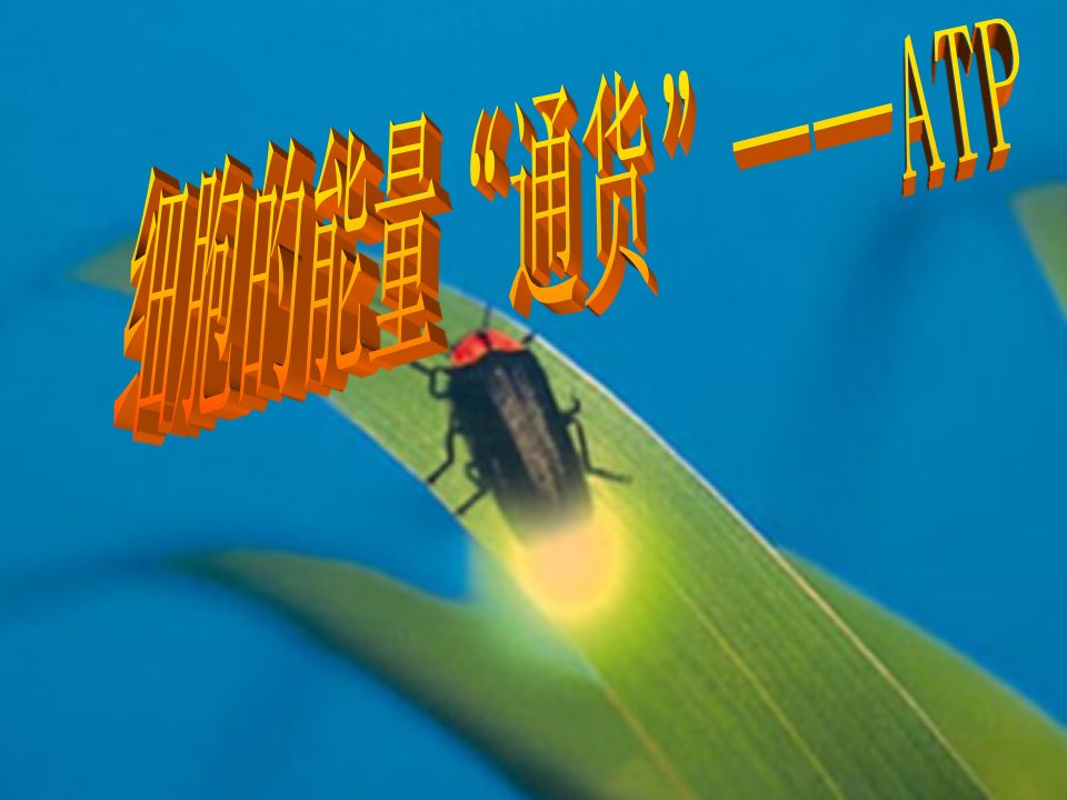 高中生物必修1