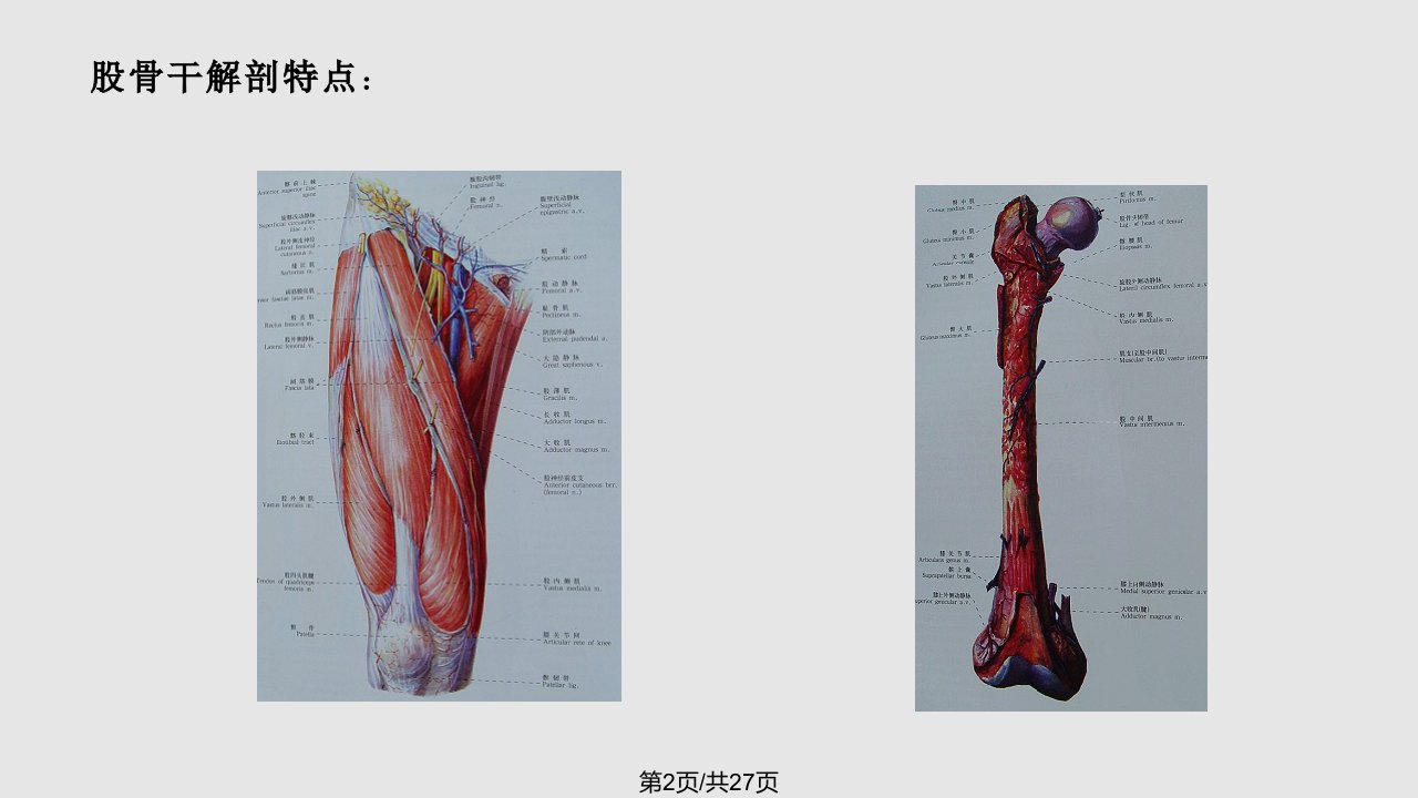 股骨干骨折的护理