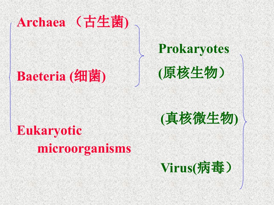 一原核微生物学细菌细胞壁