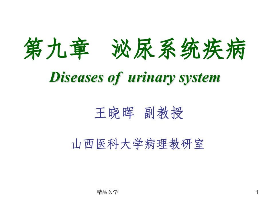 《病理学肾小球肾炎》PPT课件