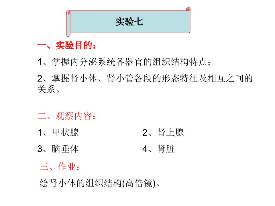 医学]内分泌、泌尿系统