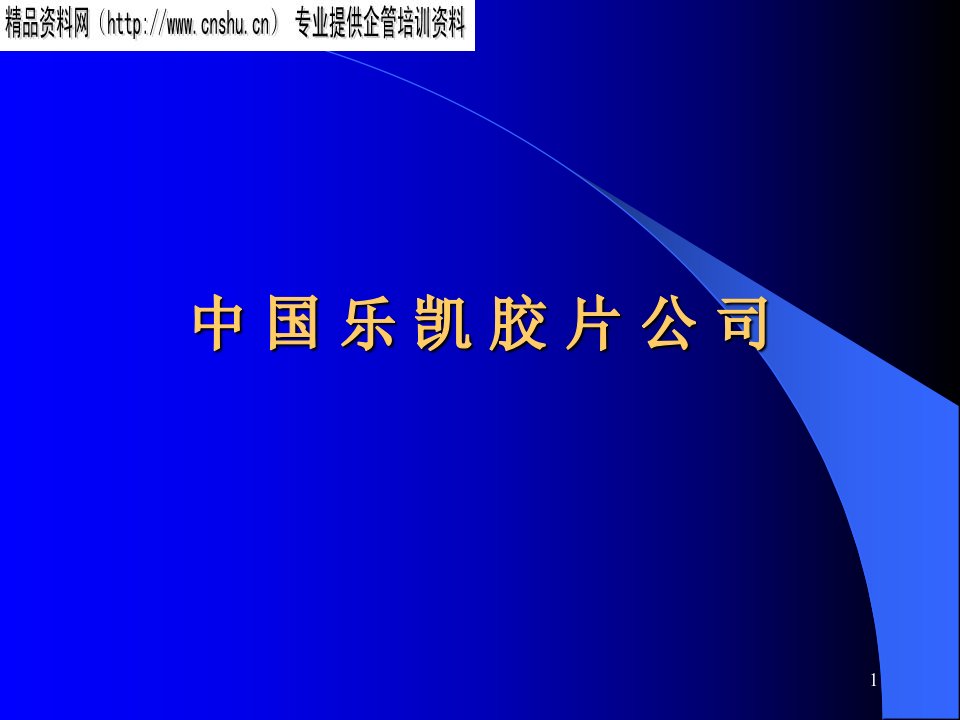 中国乐凯胶片公司经营方案分析