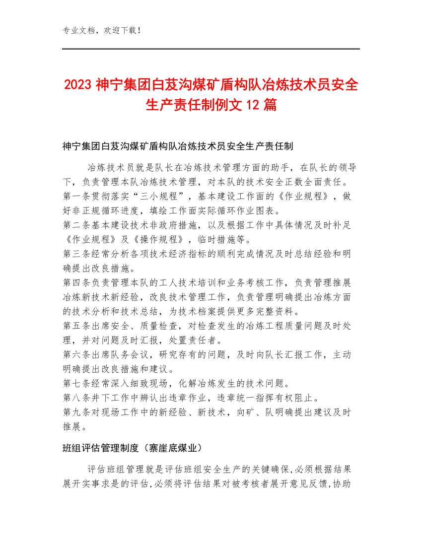 2023神宁集团白芨沟煤矿盾构队冶炼技术员安全生产责任制例文12篇