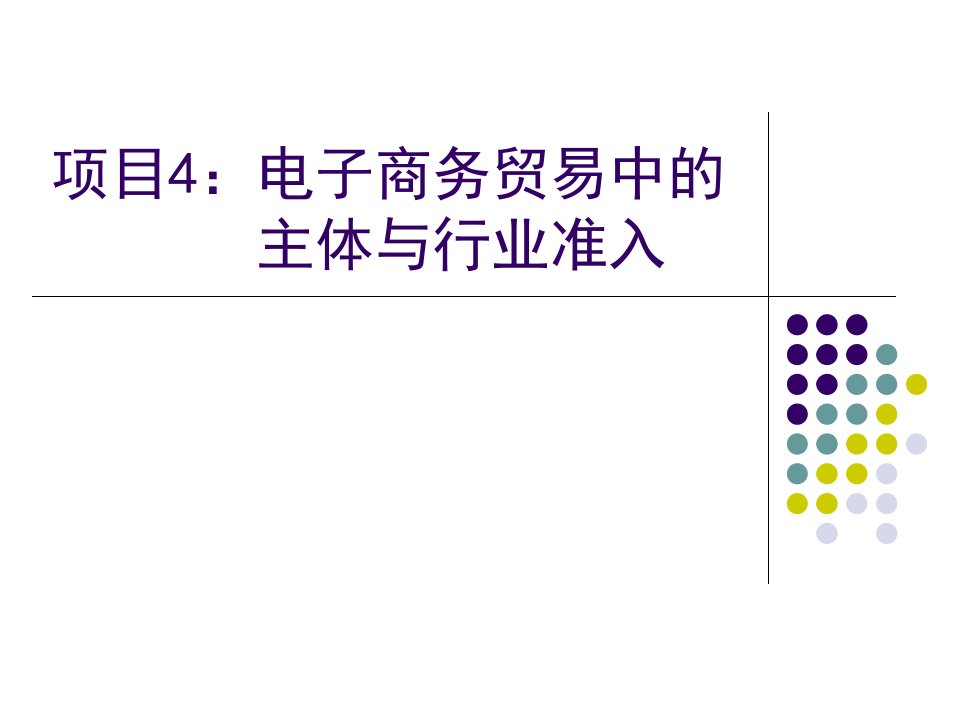 4电子商务贸易中的主体与行业准入