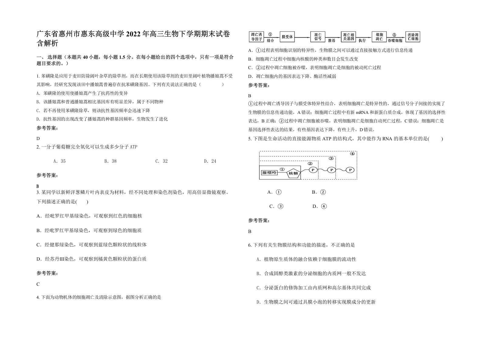 广东省惠州市惠东高级中学2022年高三生物下学期期末试卷含解析