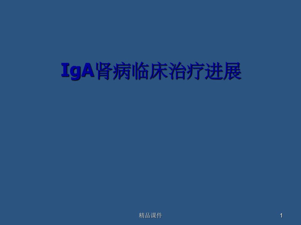 iga肾病临床治疗新进展