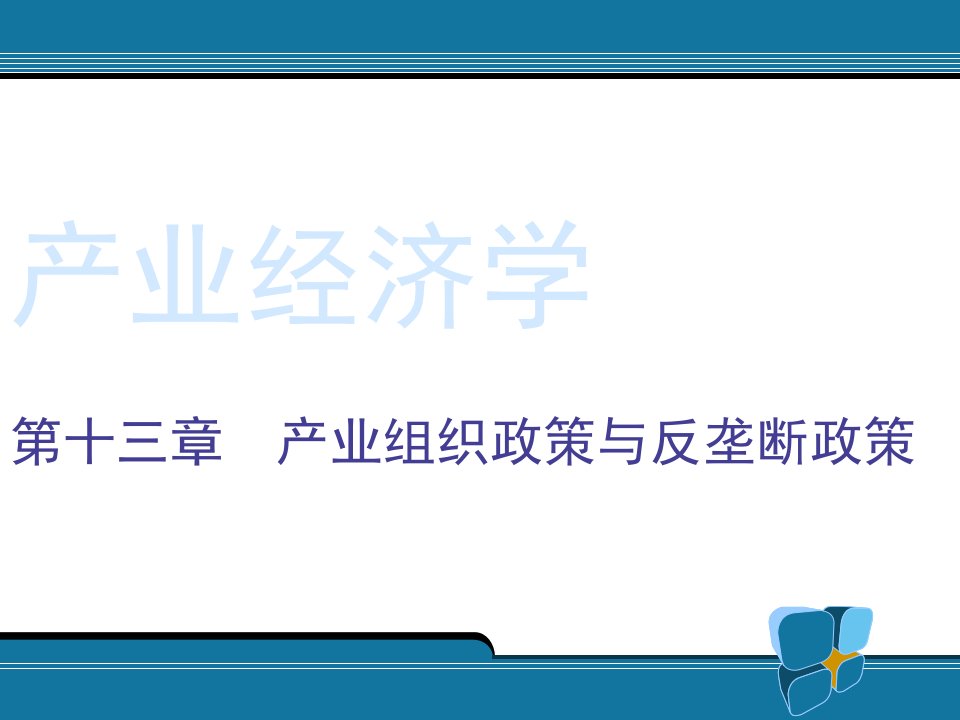 13产业组织政策1