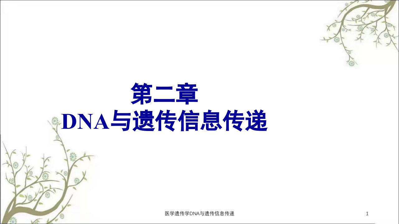 医学遗传学DNA与遗传信息传递课件