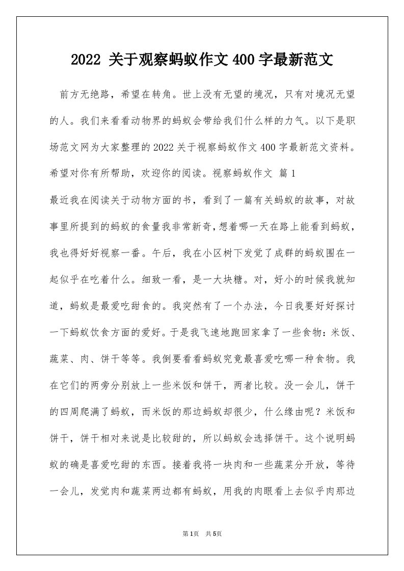 2022关于观察蚂蚁作文400字最新范文