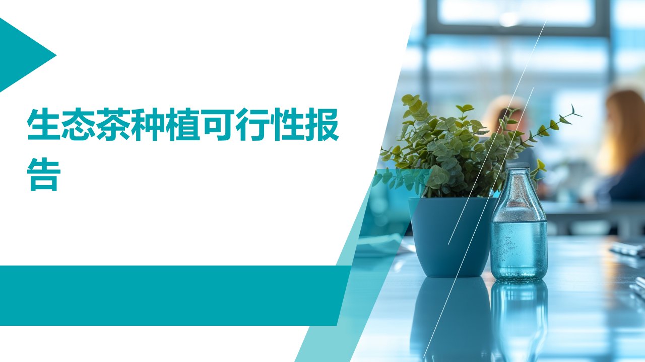 生态茶种植可行性报告