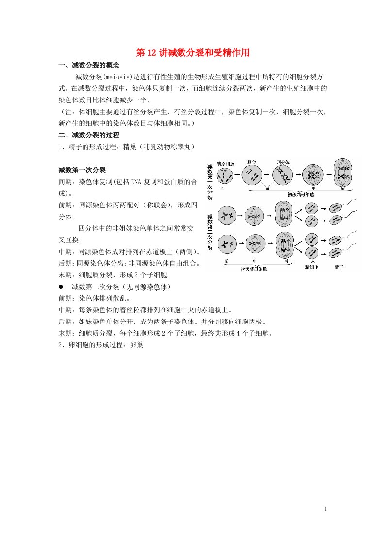 2022届新教材高考生物一轮复习第四单元细胞的生命历程第12讲减数分裂和受精作用第1课时教案