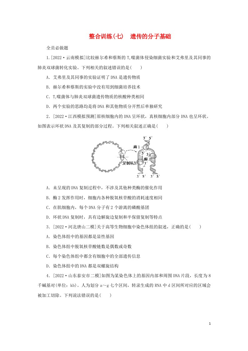 统考版2023高考生物二轮专题复习整合训练七遗传的分子基础