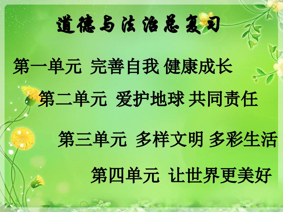 六年级下册道德与法治总复习课件