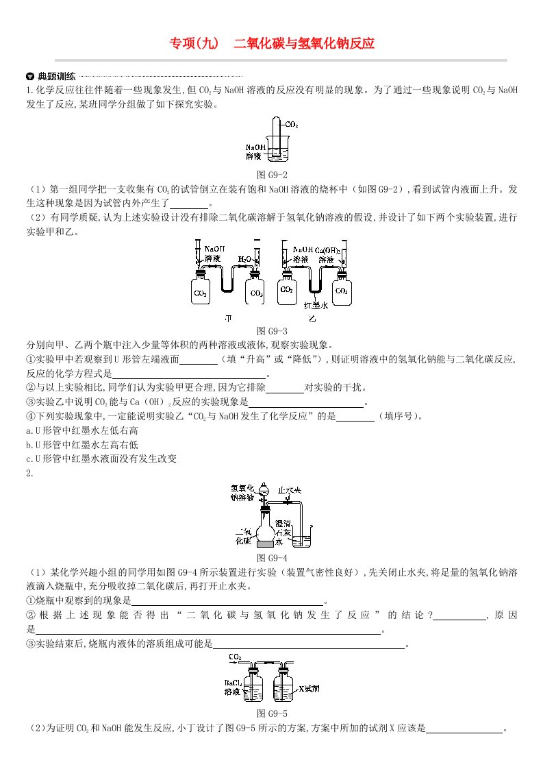 江苏省徐州市2019年中考化学专项复习专项九二氧化碳与氢氧化钠反应练习