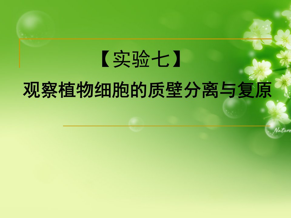 我的实验课件：用高倍镜观察植物细胞的质壁分离与复原