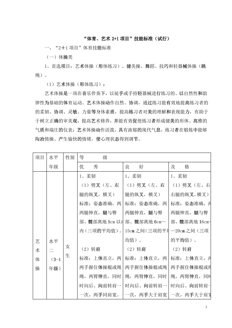 体育艺术2+1项目技能标准概述