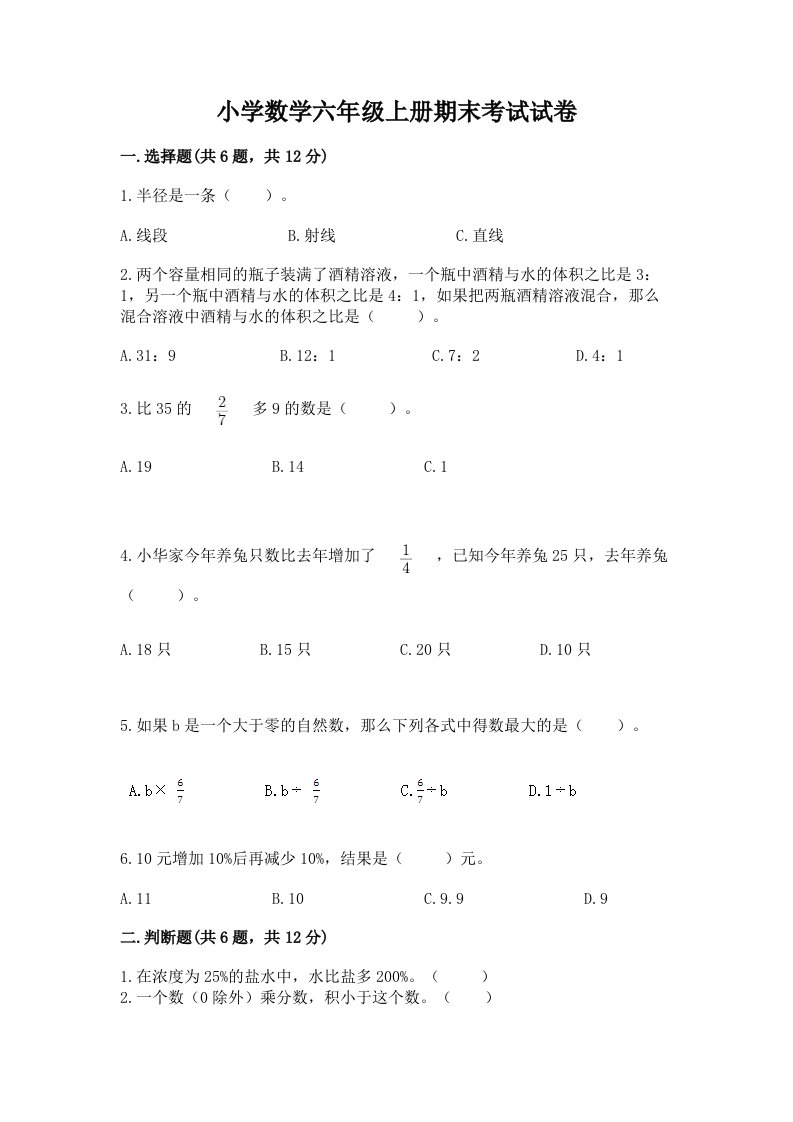 小学数学六年级上册期末考试试卷及完整答案一套