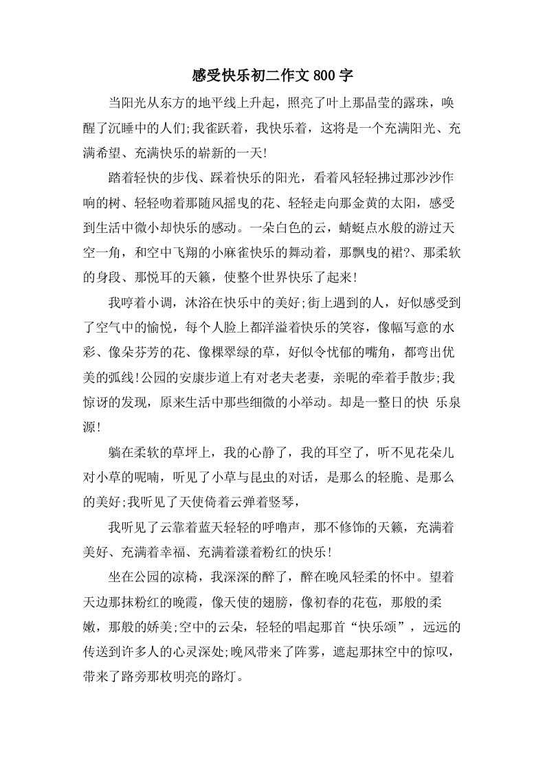 感受快乐初二作文800字