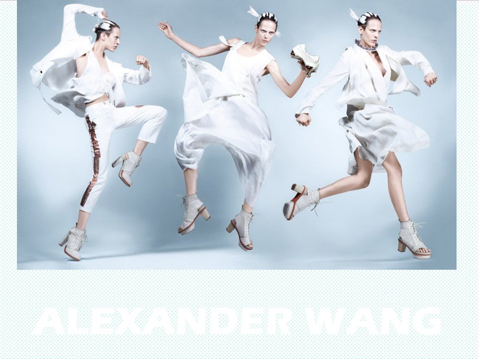 品牌管理-AlexanderWang品牌介绍