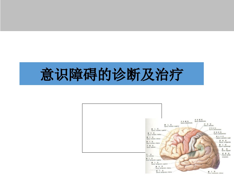 意识障碍诊断及治疗