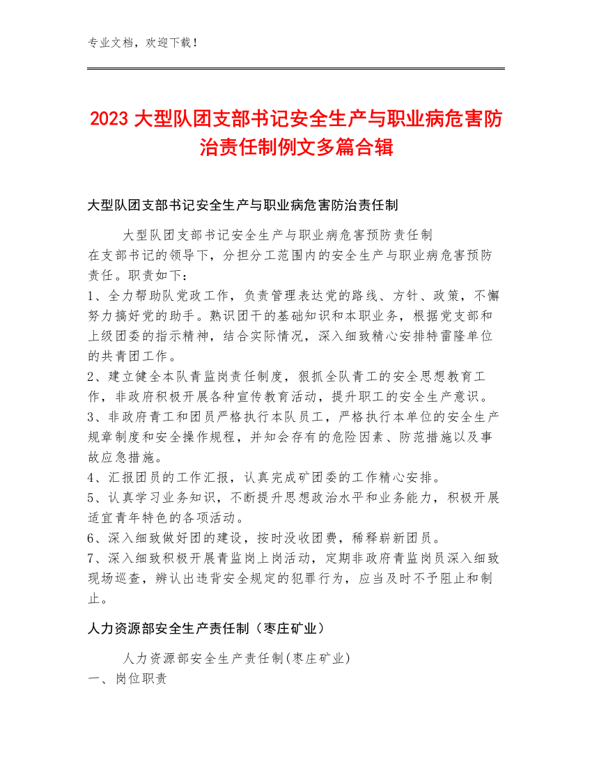 2023大型队团支部书记安全生产与职业病危害防治责任制例文多篇合辑