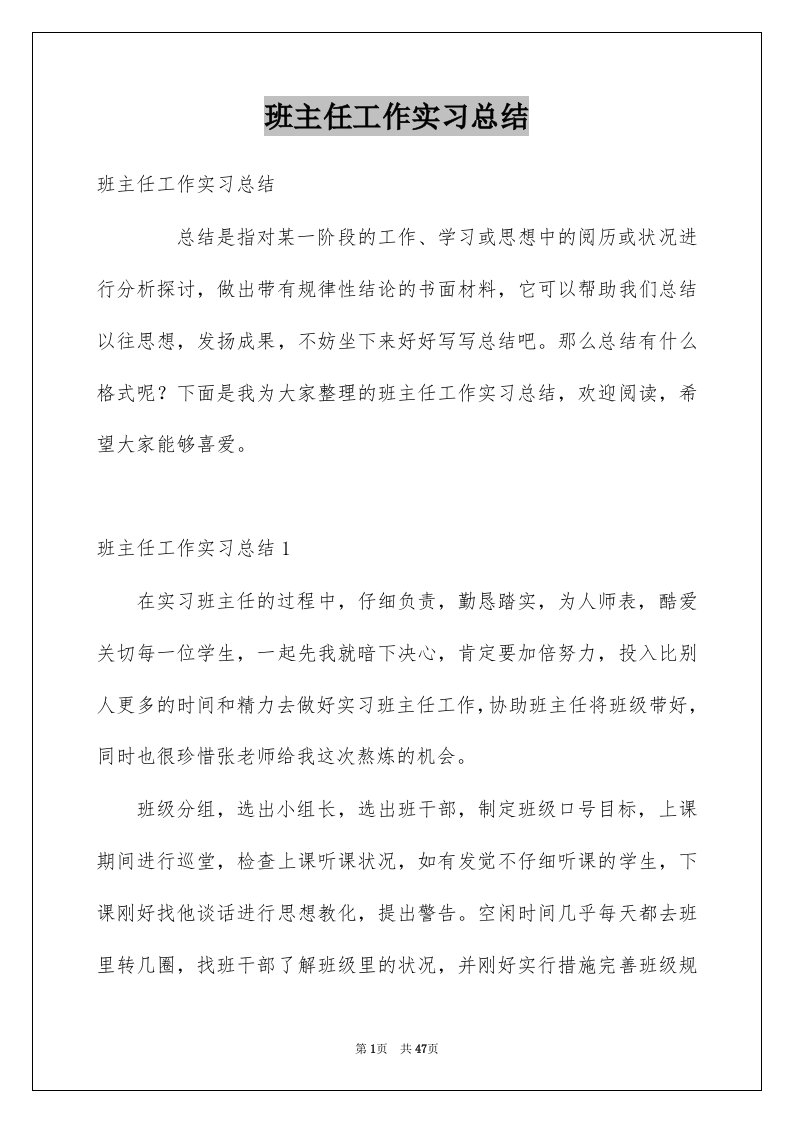 班主任工作实习总结例文0