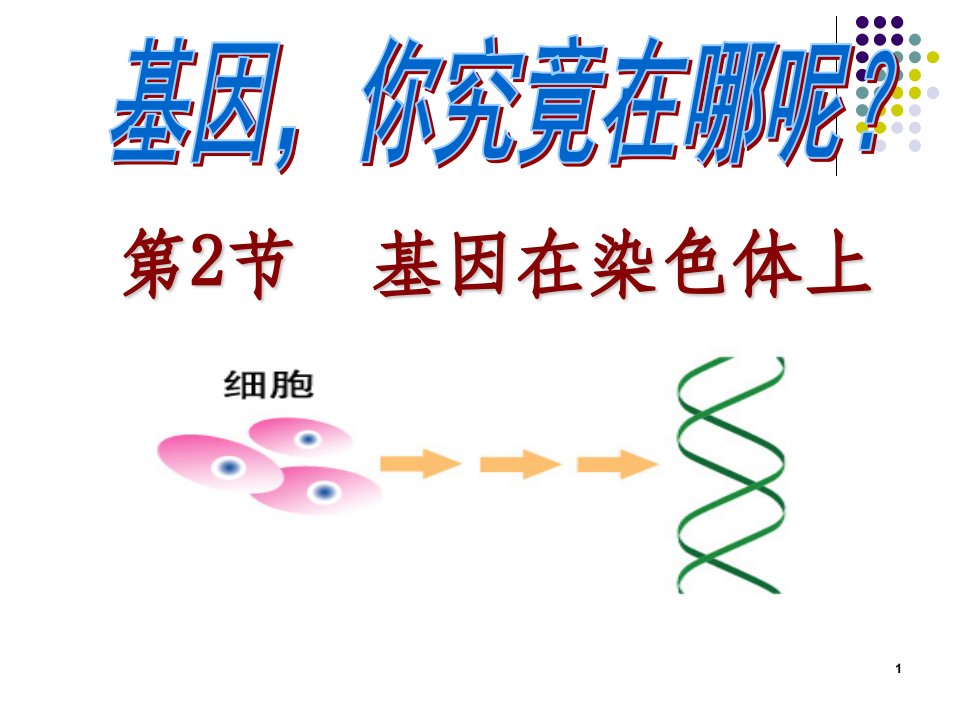 基因在染色体上公开课ppt课件