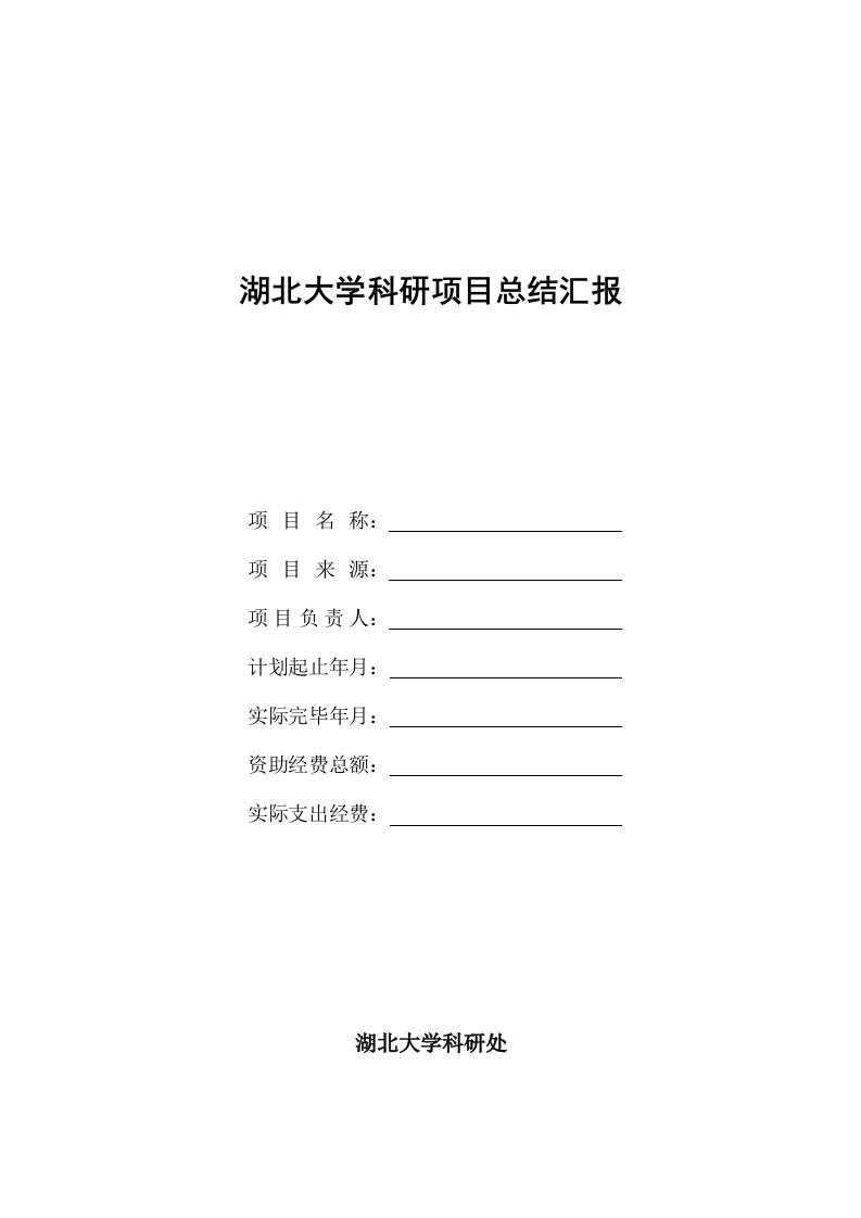 湖北大学项目总结报告