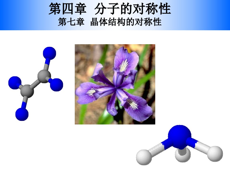 结构化学分子对称性