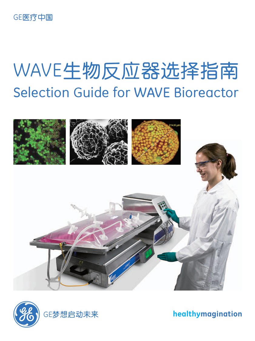 wave生物反应器