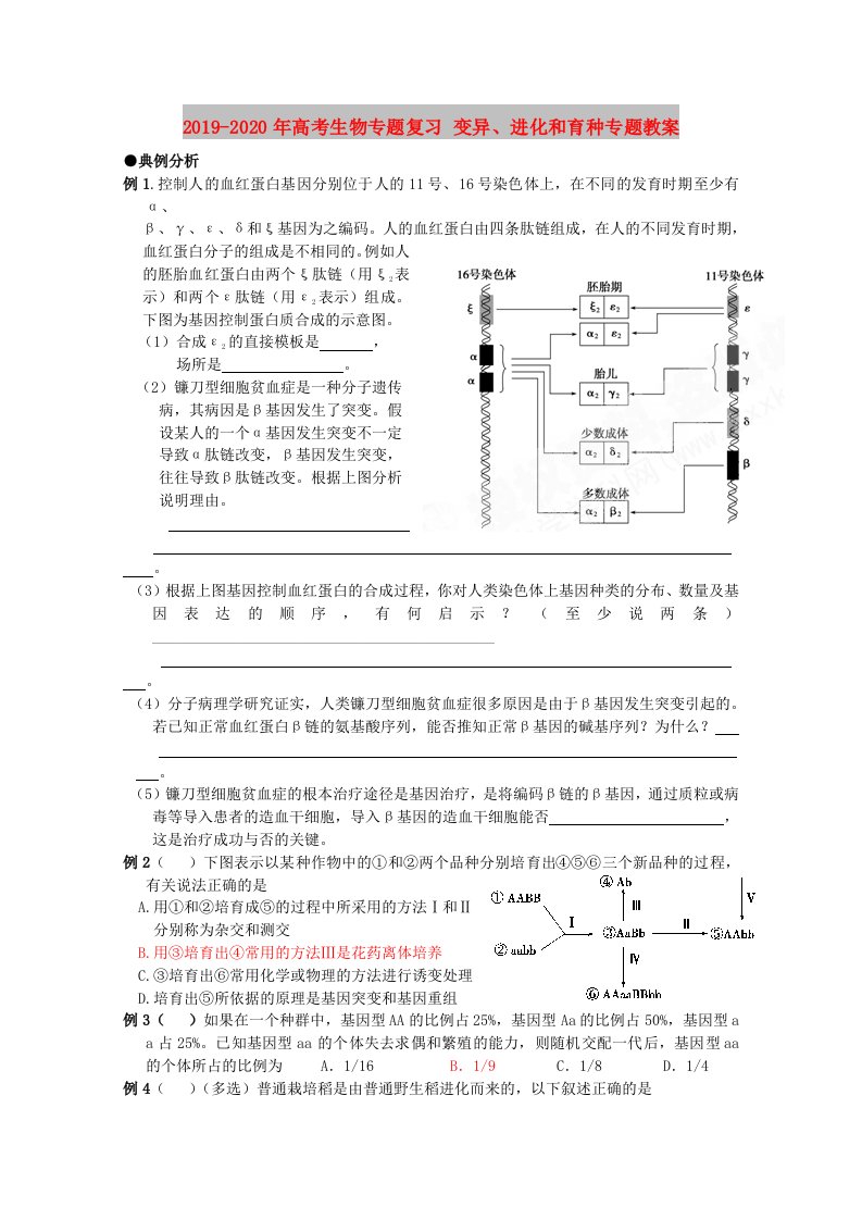 2019-2020年高考生物专题复习