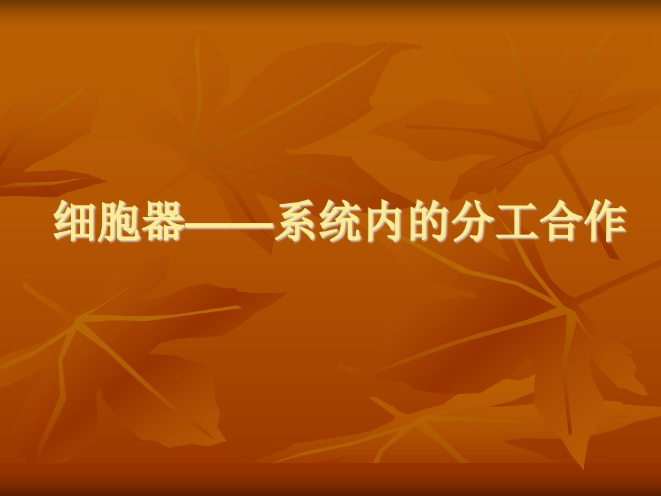 人教版教学课件细胞器——系统内的分工合作