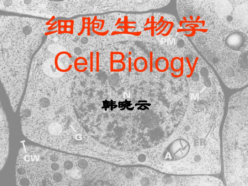 细胞生物学基本知识课件