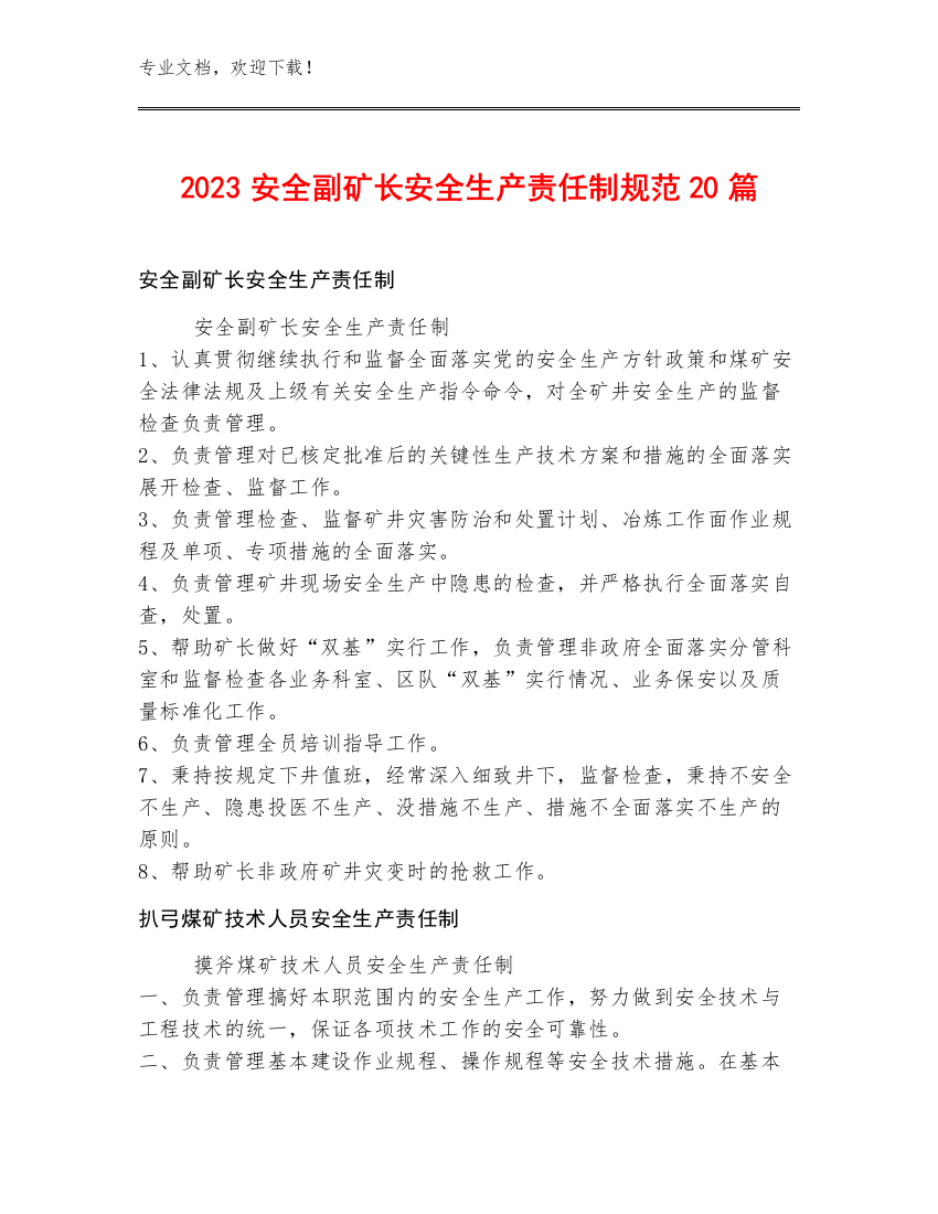 2023安全副矿长安全生产责任制规范20篇