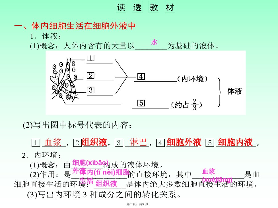 人体的内环境与稳态一轮复习公开课备课讲稿