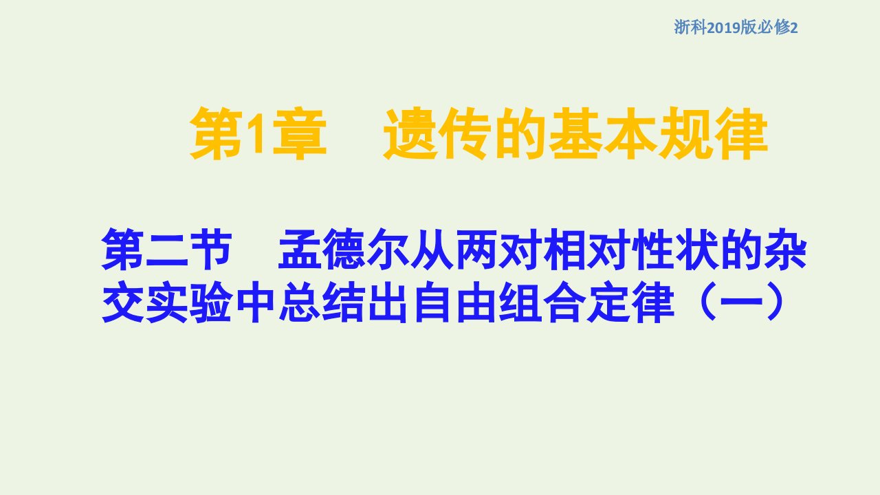 新教材高中生物第一章孟德尔定律第二节孟德尔从两对相对性状的杂交实验中总结出自由组合定律课件2浙科版必修2