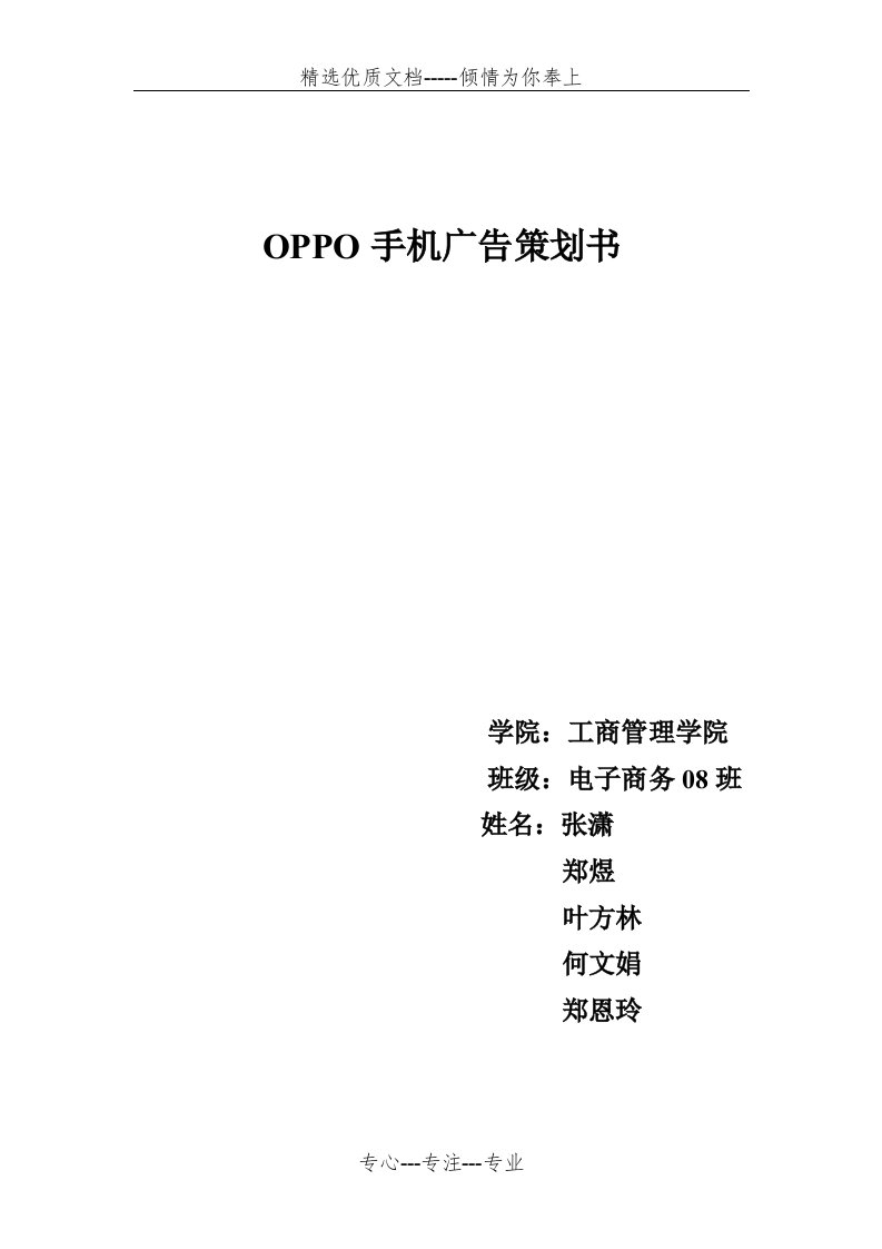 OPPO手机网络广告策划书(共18页)