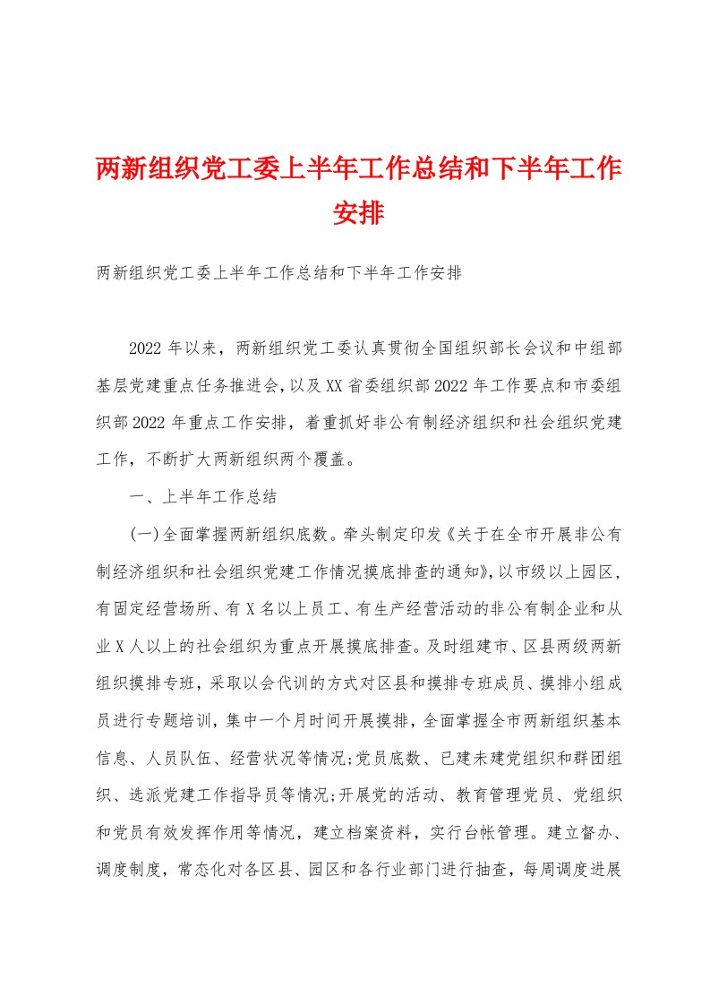 两新组织党工委上半年工作总结和下半年工作安排