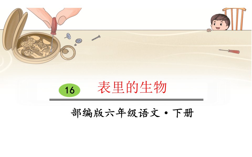 《表里的生物》优课一等奖课件