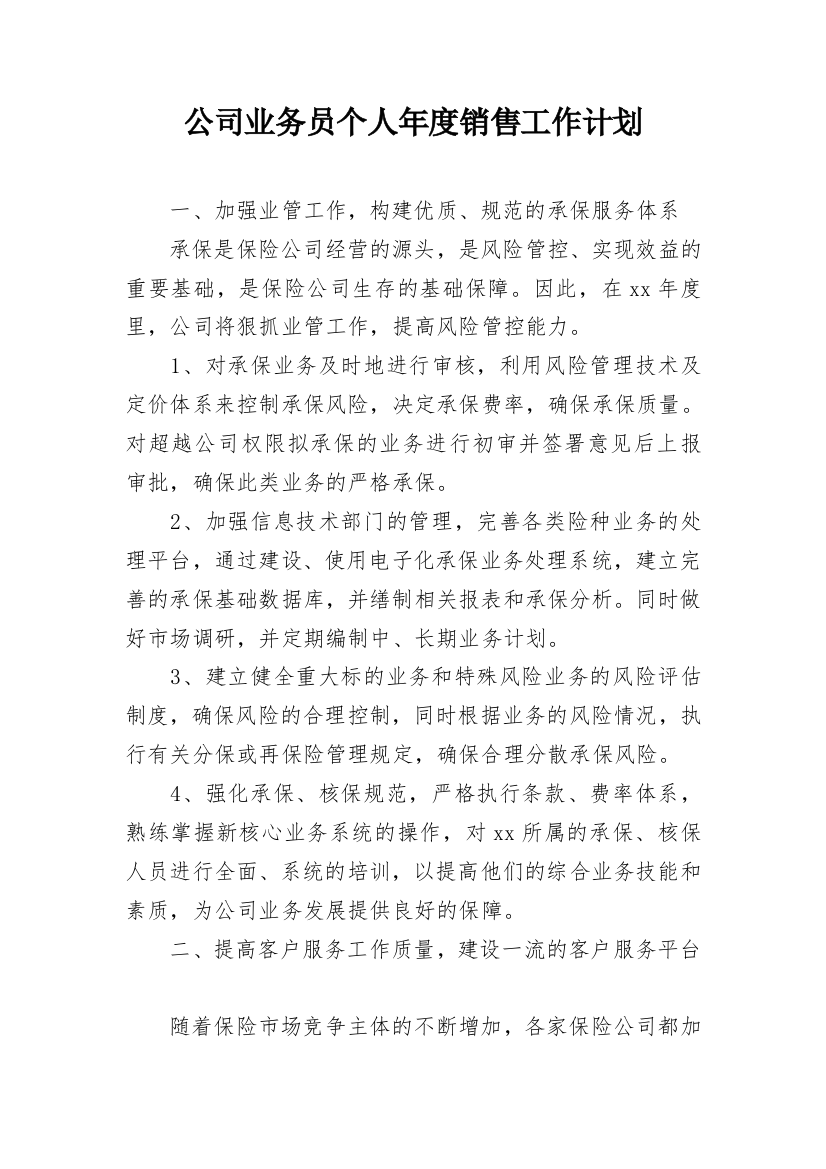 公司业务员个人年度销售工作计划