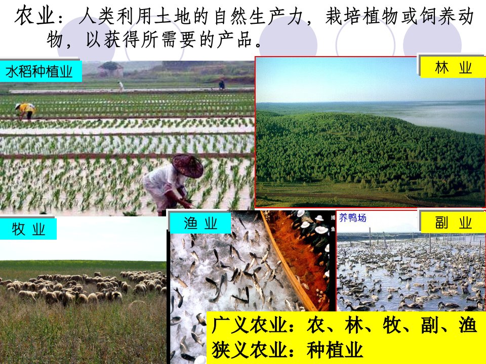 农业区位因素及其变化