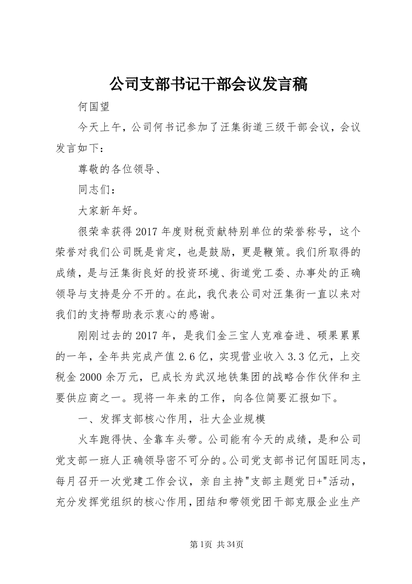 公司支部书记干部会议发言稿