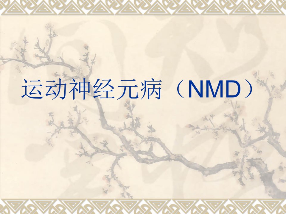 运动神经元病(NMD)