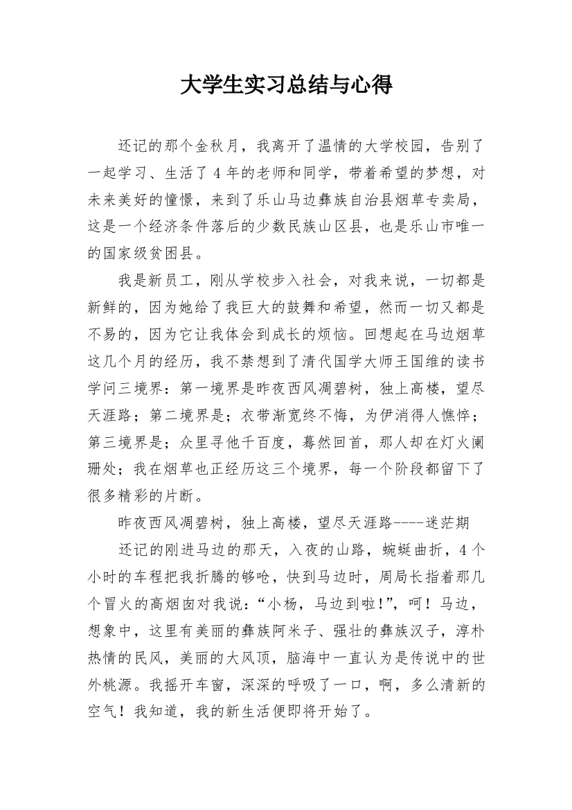 大学生实习总结与心得